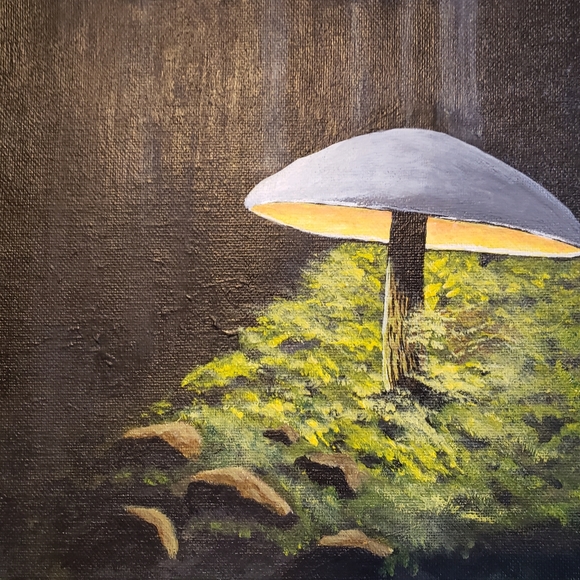 Meet your Posher, Sandy - Picture 12 of 16